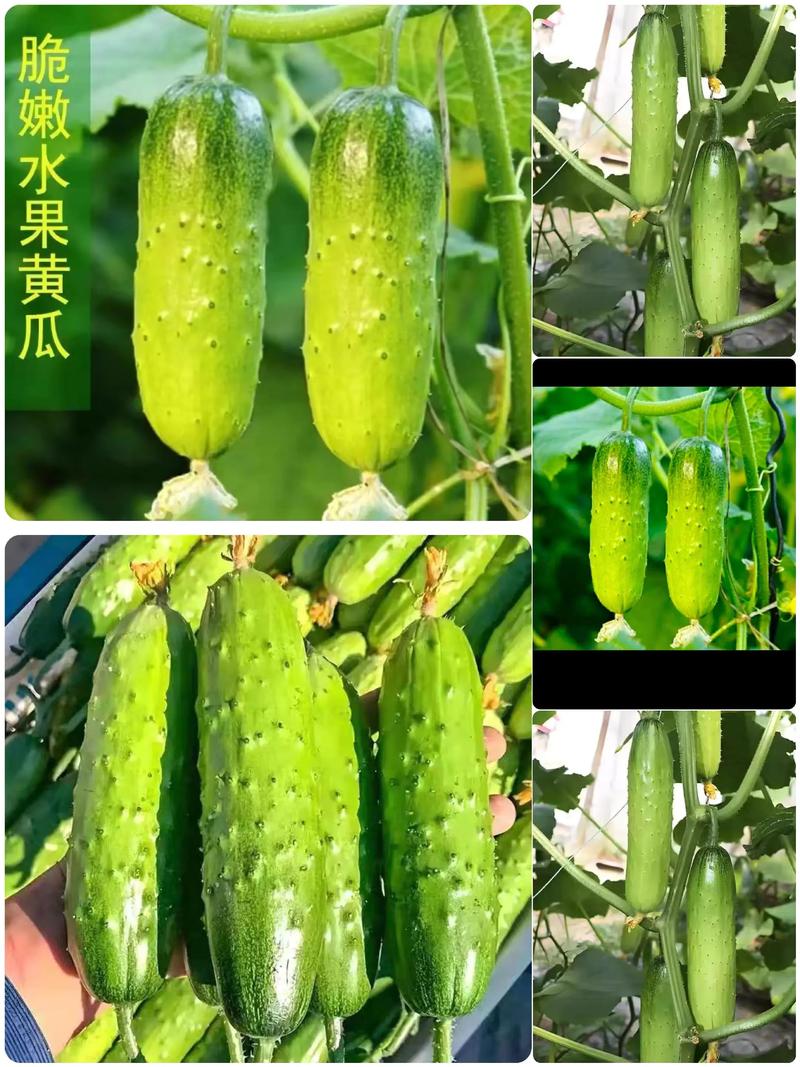 本地水果