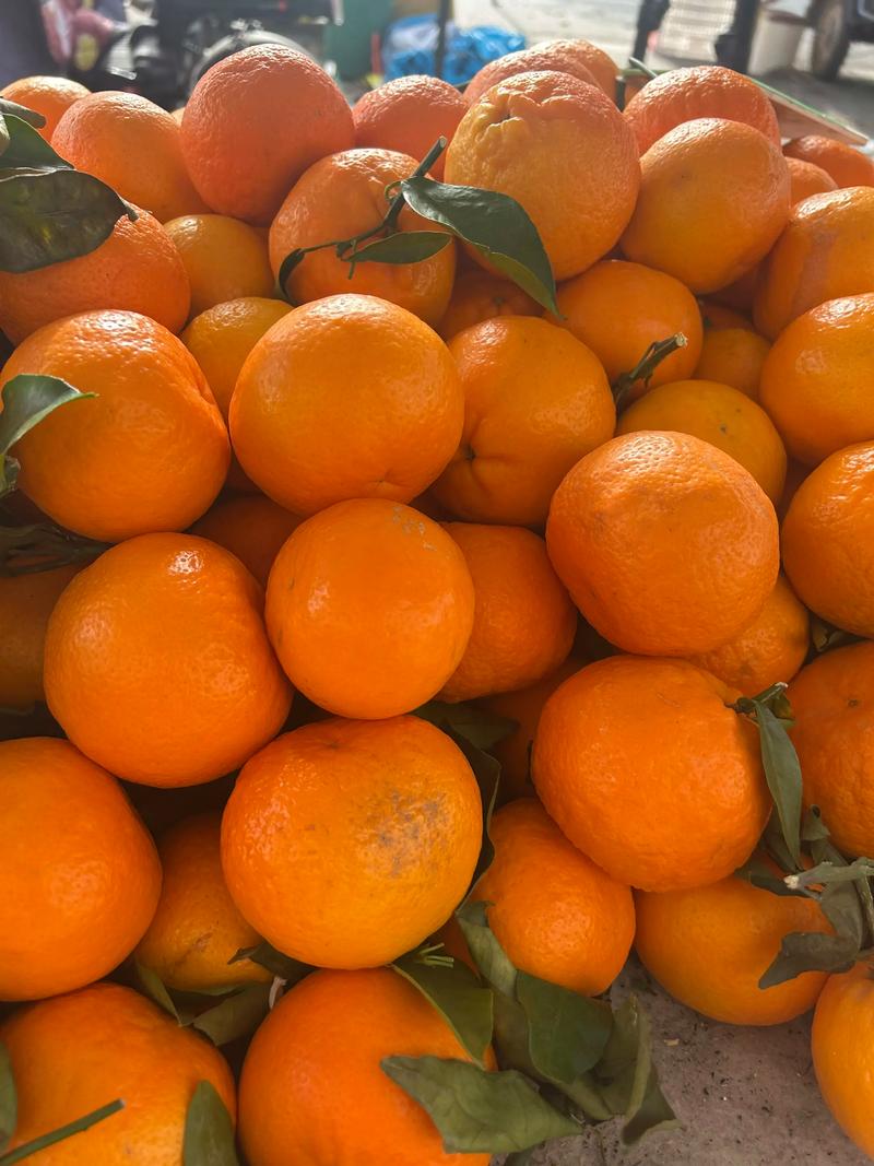彭泽水果店：新鲜果源与顾客微笑的桥梁